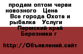 продам оптом черви новозного › Цена ­ 600 - Все города Охота и рыбалка » Услуги   . Пермский край,Березники г.